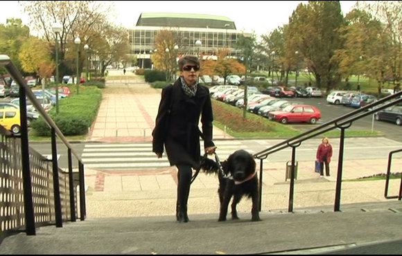 Our Possibilities Are Endless – a Film about Dogs that Change People's Lives