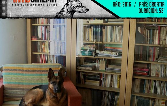 Dum Spiro Spero u međunarodnoj konkurenciji festivala Transcinema